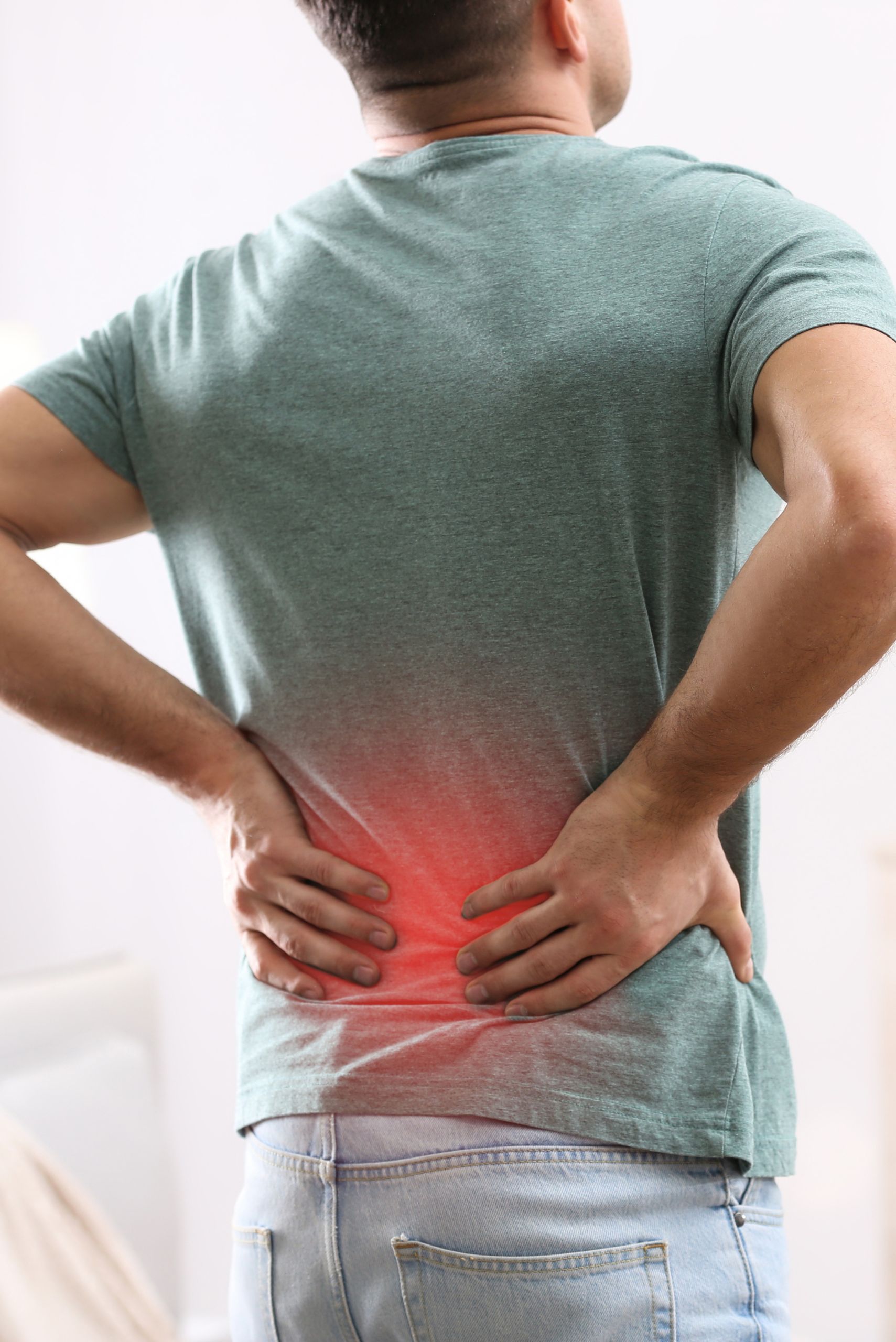 Physical Therapy for Low Back Pain Relief in Edison